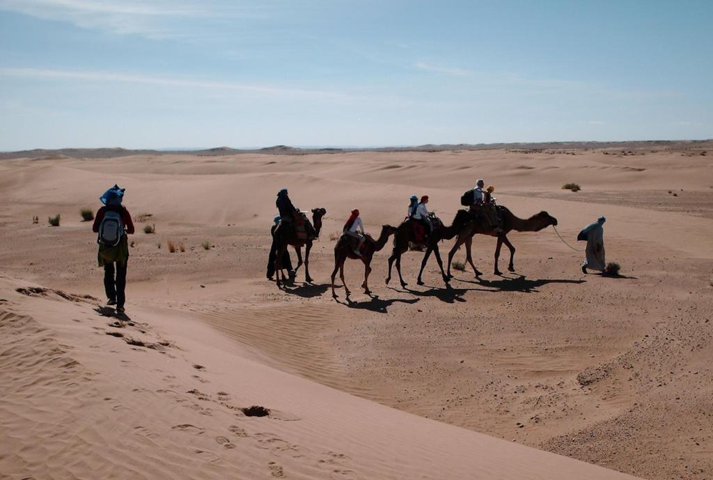 Kasbah Berbere Ouriz Hotel Agdz Luaran gambar