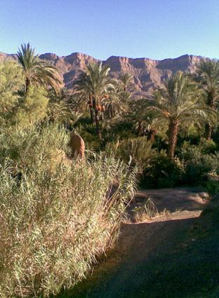 Kasbah Berbere Ouriz Hotel Agdz Luaran gambar