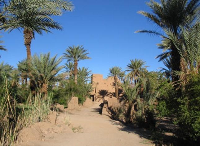 Kasbah Berbere Ouriz Hotel Agdz Luaran gambar